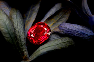 Timeless Elegance, Crafted for You